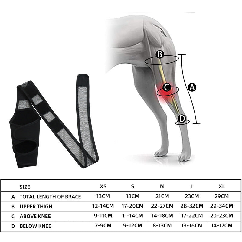 Équipement de protection pour chien, ajuste à différentes tailles, soutien pour fractures des jambes, néoprène de qualité.