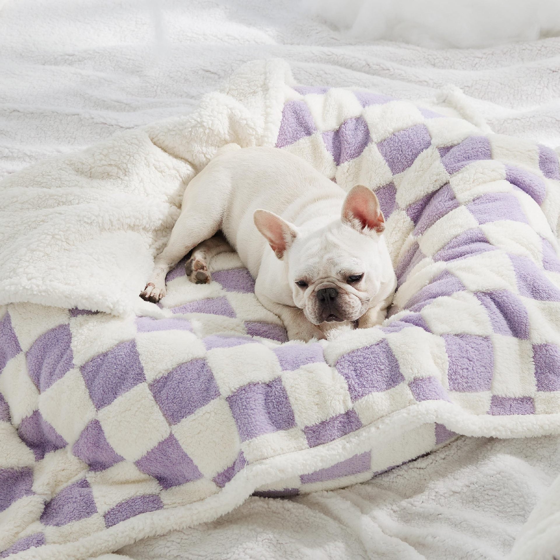 Couverture Impermeable pour Chiens en Coton Épais