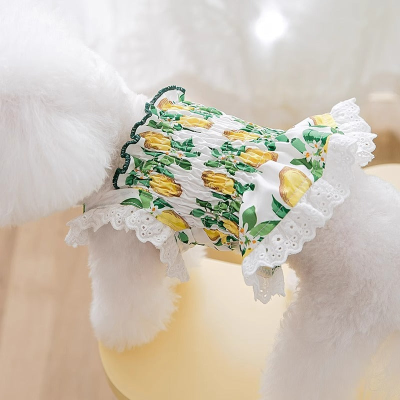 Jupe Respirante pour Chien - Style Princesse