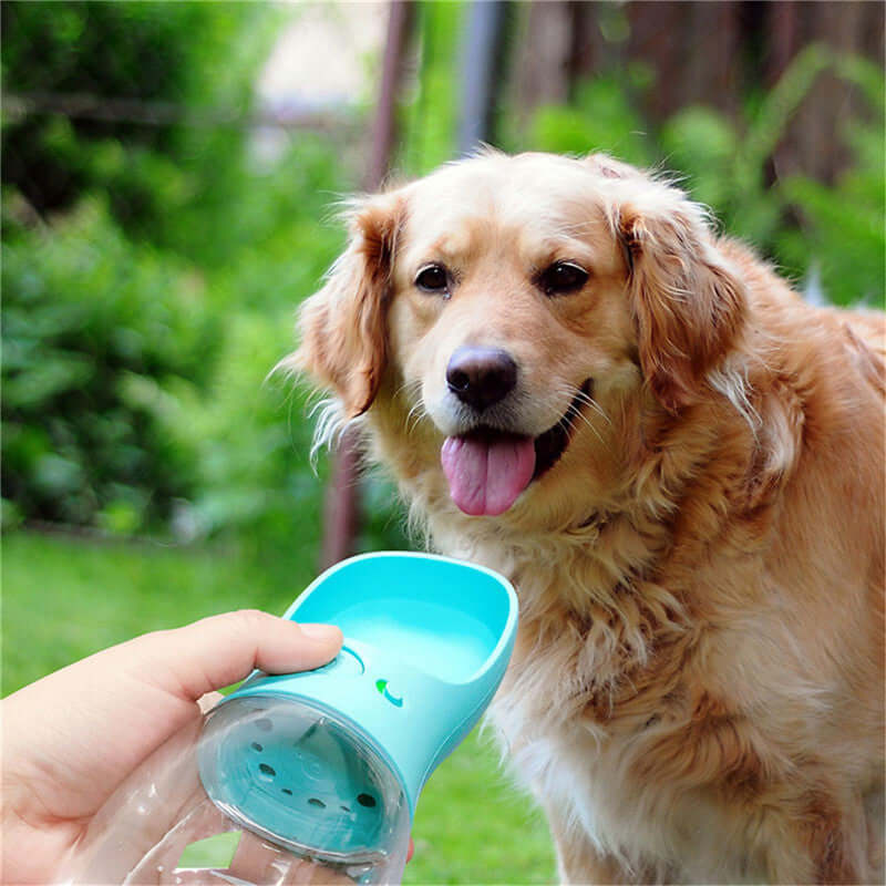 Golden retriever happily drinking from a portable water bottle outdoors, ideal for pets on the go.
