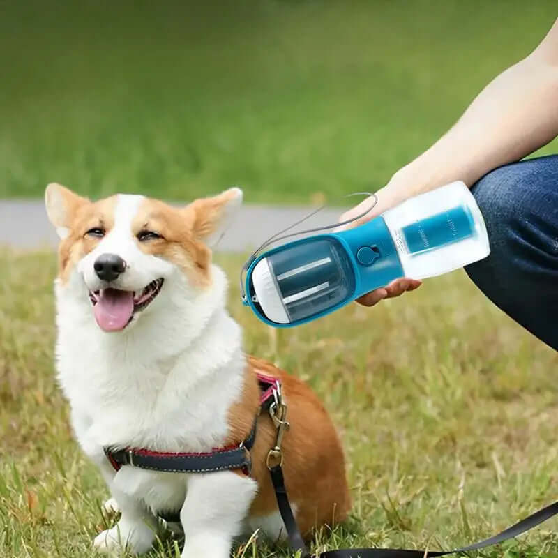 Gobelet d'eau portable 3-en-1 pour animaux, parfait pour les promenades avec un chien heureux.