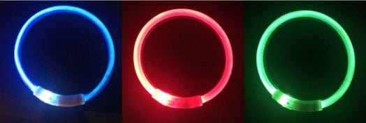 Collier LED lumineux USB pour chien, disponible en bleu, rouge et vert, pour sécurité lors des promenades nocturnes.