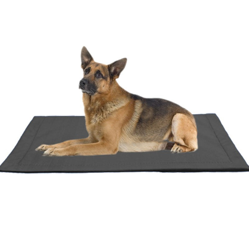 Tapis Résistant aux Morsures pour Chiens Golden Retriever