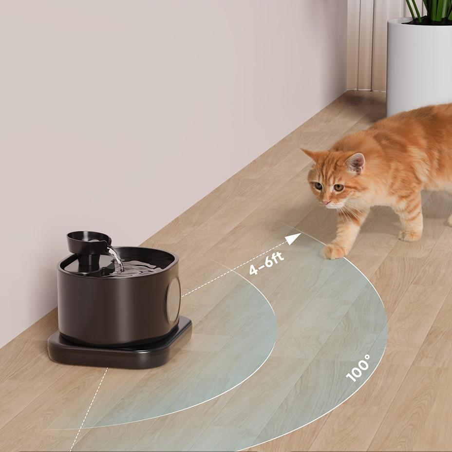Fontaine à eau pour chats et chiens 28L avec un chat s'approchant, illustrant son design innovant.