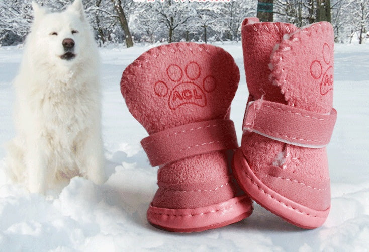 Bottes en velours pour chiens en hiver, protection des pattes contre le froid et la neige.