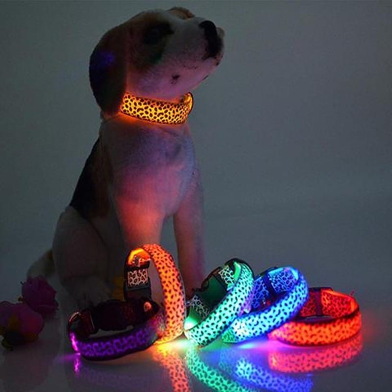 Collier LED ajustable en nylon léopard pour chien avec lumières colorées, modèle stylé et sécuritaire.
