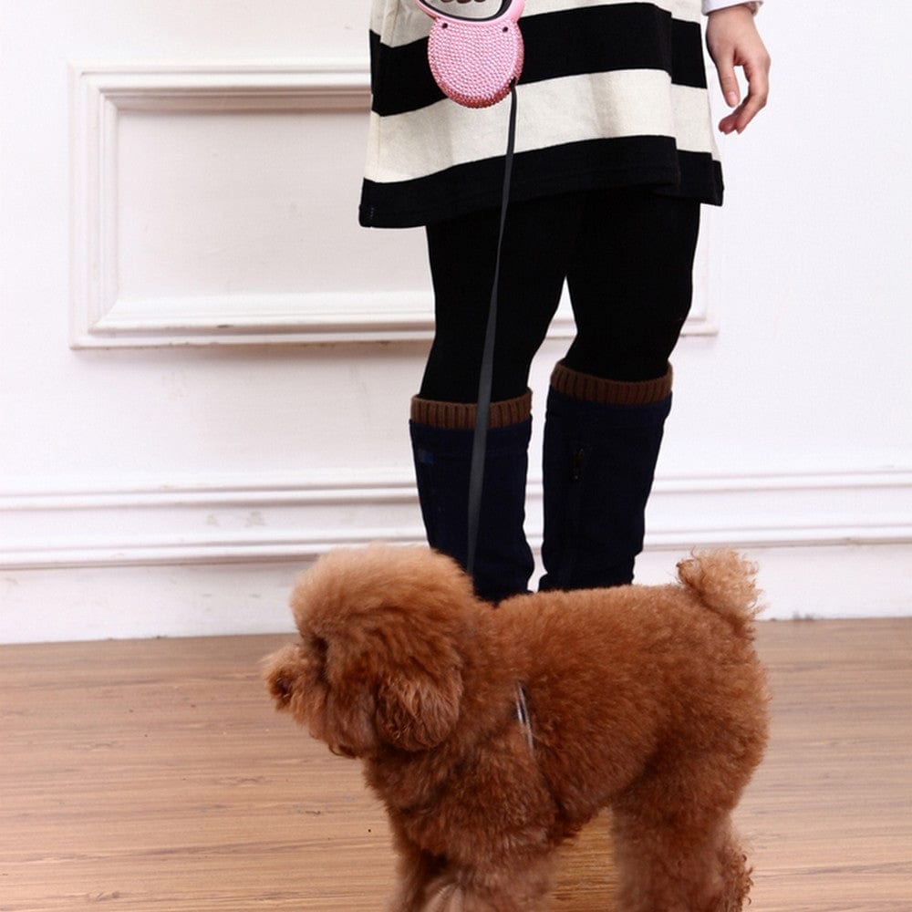 Person walking a small dog on a leash, showcasing a stylish harness and practical pet accessories.