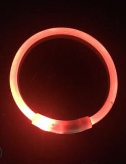 Collier LED lumineux USB pour chien en lumière rouge, accessoire de sécurité pour promenades nocturnes.