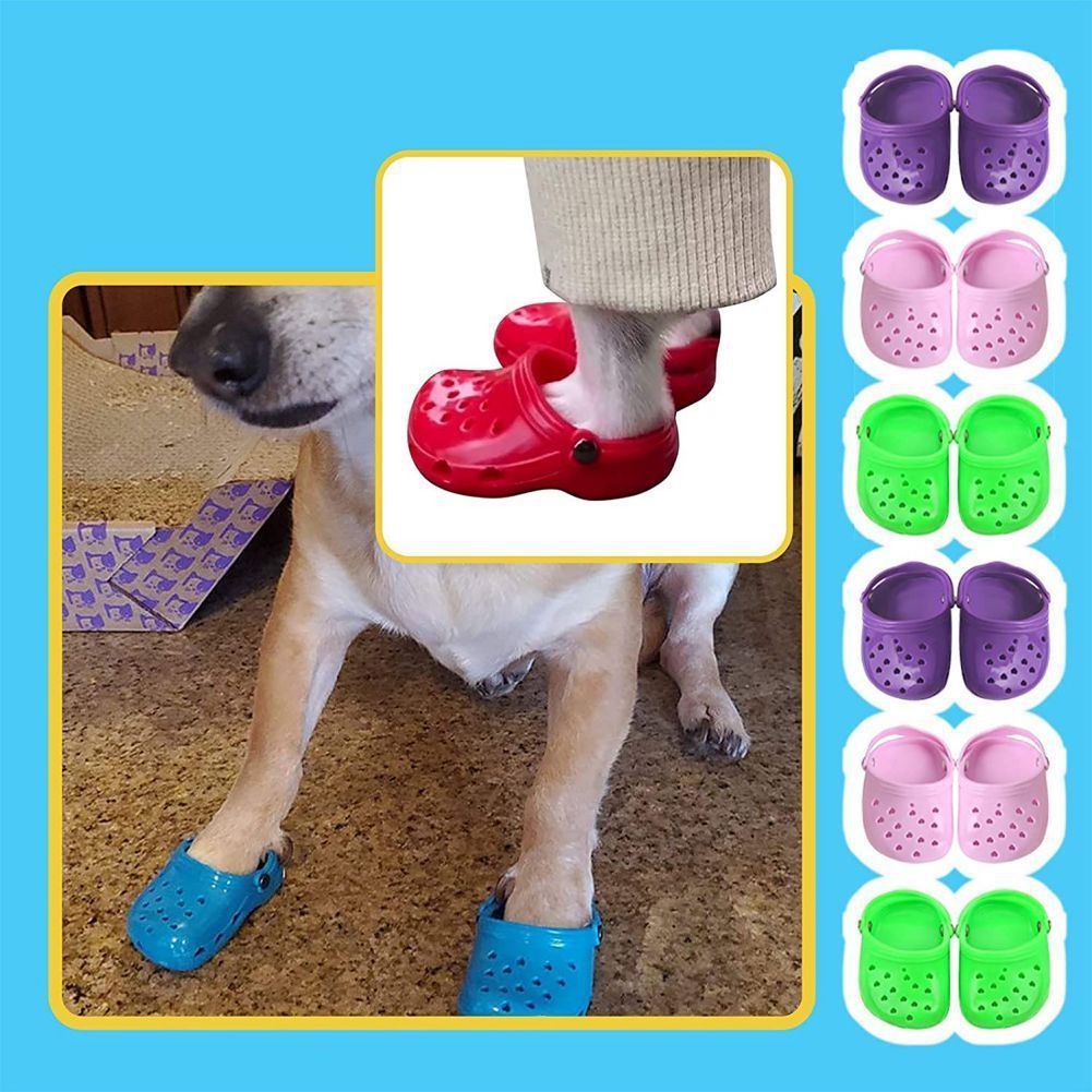 Chien portant des chaussures en silicone colorées avec un collier, offrant protection et style.