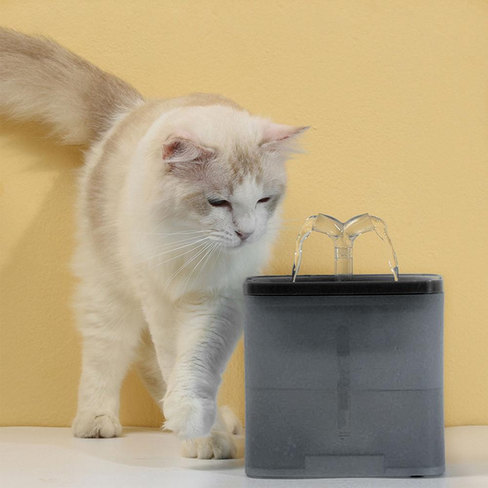 Chat explorant une fontaine automatique à boire pour animaux, offrant accès à de l'eau fraîche.