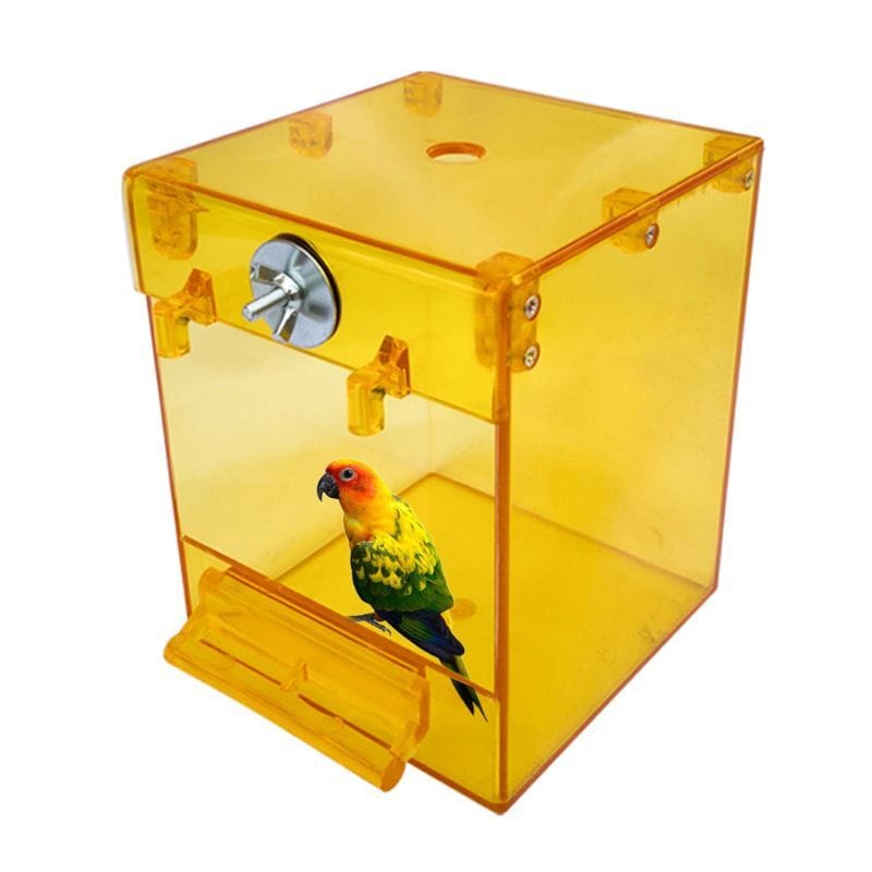 Baignoire Extérieure Transparent pour Oiseaux