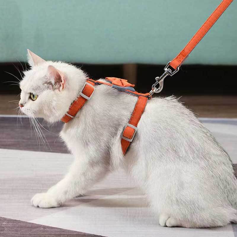 Chat avec une laisse I-shaped en coton coloré, portant un harnais orange, sur un tapis intérieur.