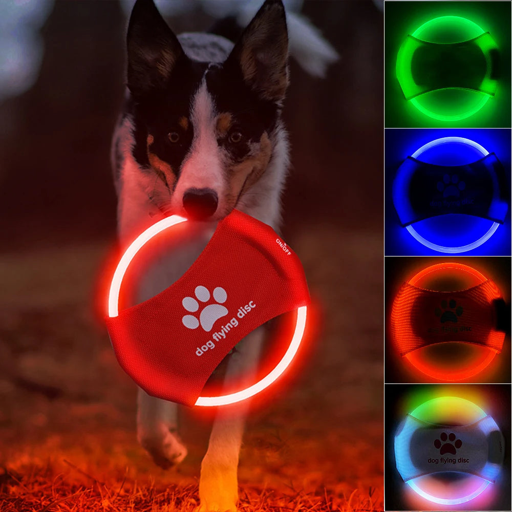 Disque Volant LED Lumineux pour Chien