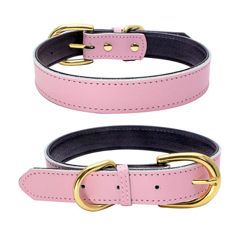 Collier en cuir rose pour chien avec boucle dorée, confort et style pour animaux de compagnie.