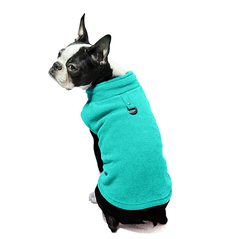 Chien en pull en fleece turquoise, accessoire chaud et élégant pour les journées fraîches.