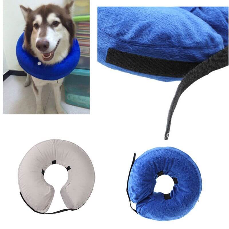 Collier gonflable bleu pour chien, offrant confort et protection après chirurgie, disponible en plusieurs tailles.