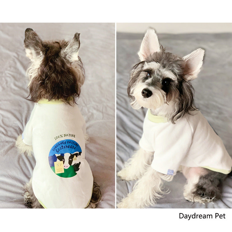 Chien en t-shirt blanc avec un logo, montrant style et confort pour animaux de compagnie, parfait pour toutes saisons.