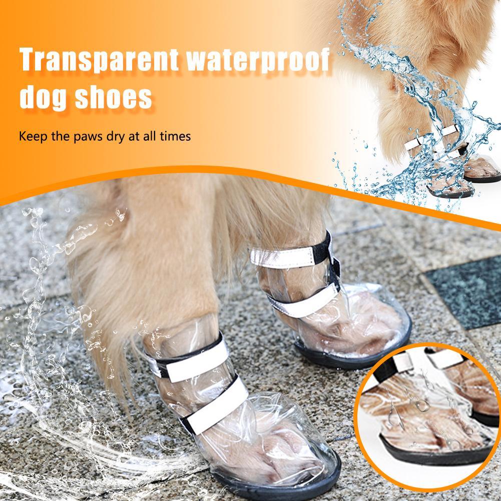 Chaussures imperméables transparentes pour grands chiens, protègent les pattes et gardent au sec.