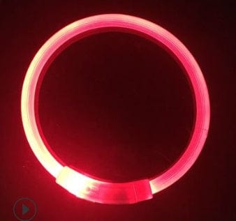 Collier LED lumineux USB rouge pour chien, outil de sécurité pour promenades nocturnes.