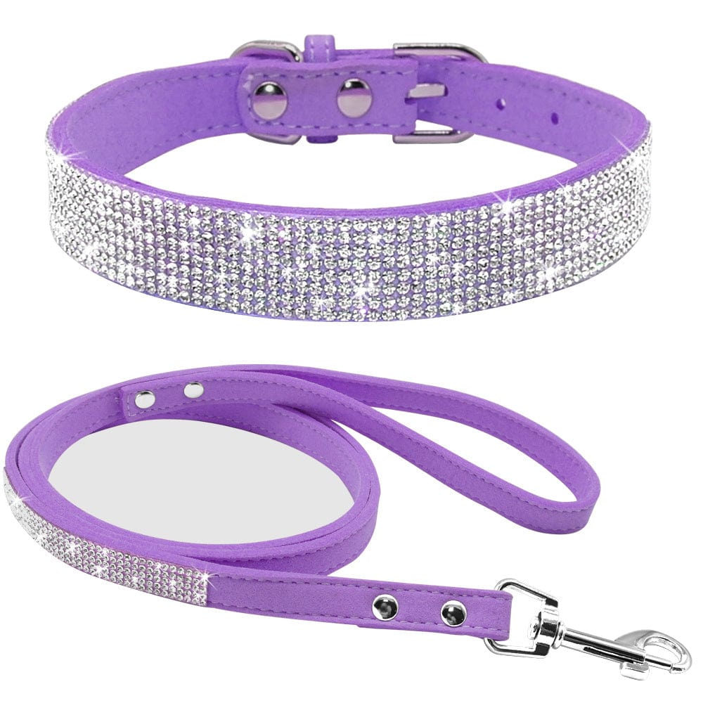 Collier pour chien violet avec strass et laisse assortie, confort et style pour votre animal.