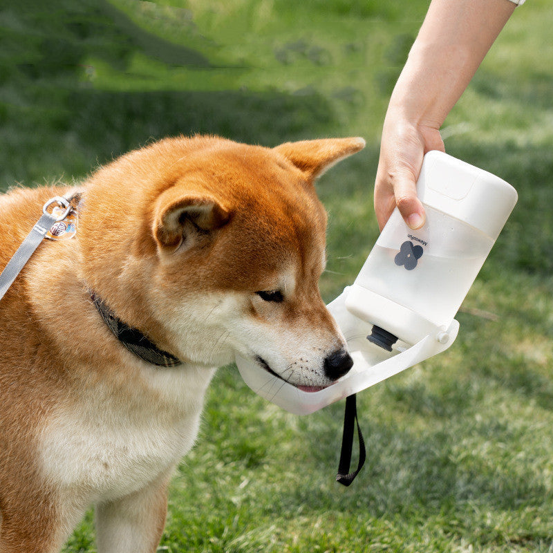 Gobelet portable pour chien, pratique et élégant, avec un chien en train de boire dans la nature.