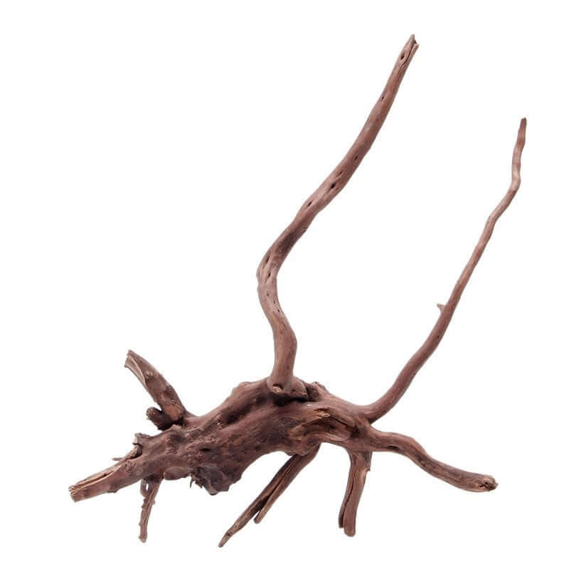 Décoration en bois imitation racine d'arbre pour aquarium, apportant une touche naturelle.