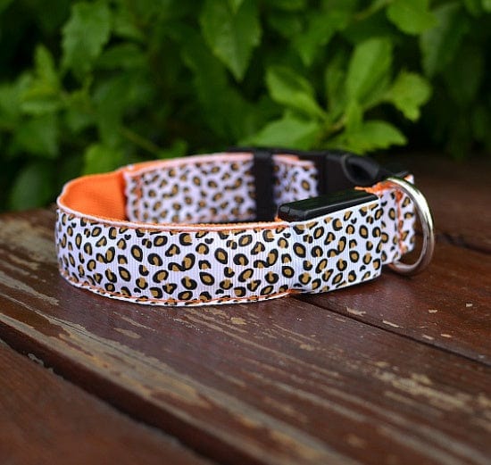Collier LED ajustable en nylon léopard pour chien sur fond de verdure, offrant sécurité et style.