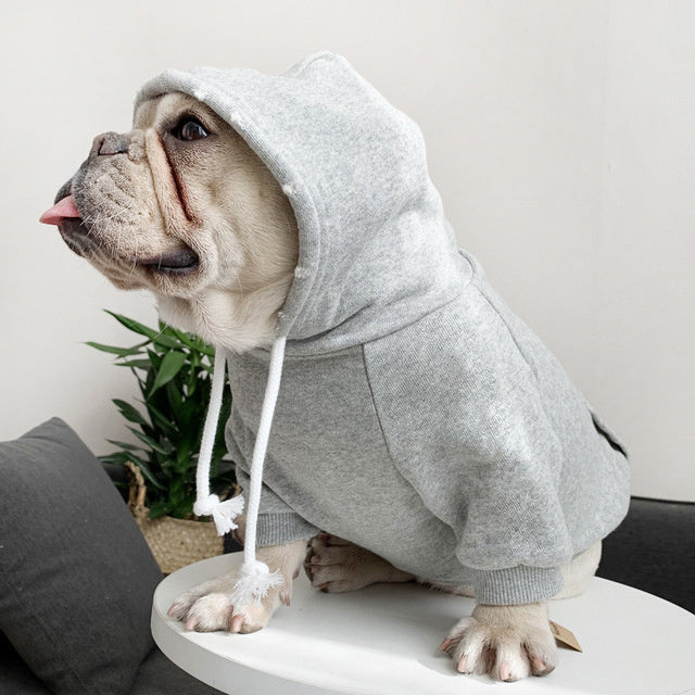 Chien en hoodie en fleece gris, avec une coupe décontractée, assis sur une table décorative.