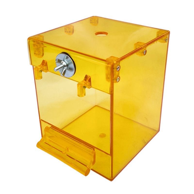 Baignoire Extérieure Transparent pour Oiseaux