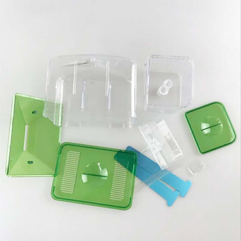 Boîte d'isolement pour poissons avec pièces en plastique transparent et vert pour assurer le bien-être des poissons.
