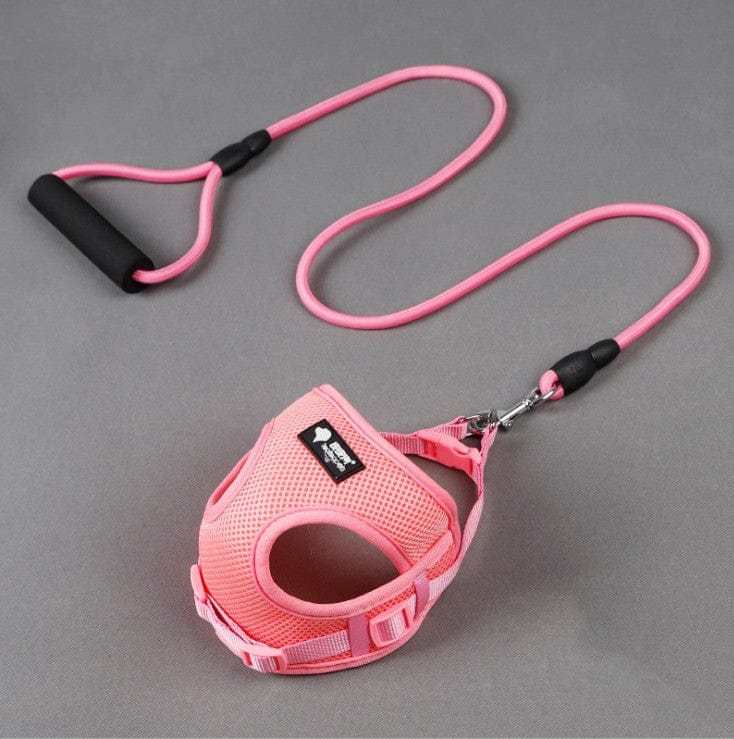 Laisse et collier rose en nylon et mousse pour chien, offrant confort et sécurité lors des promenades.