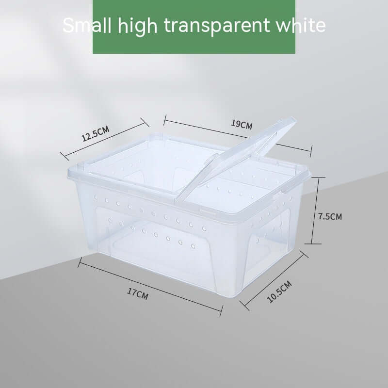 Boîte de nourriture transparente pour tortue, idéale pour reptiles et terrariums, dimensions : 19x12.5x7.5cm.