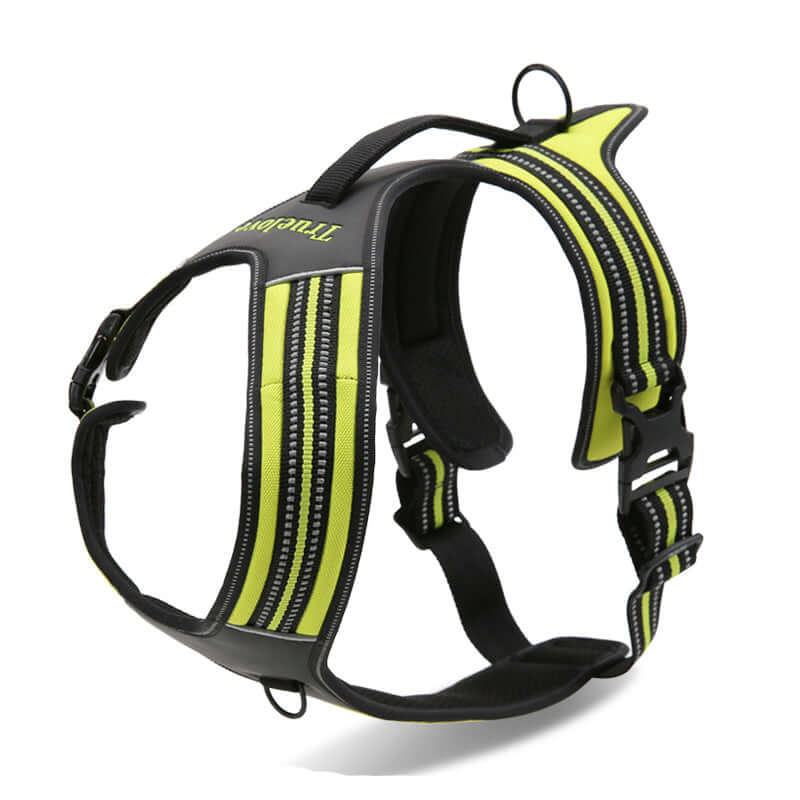 Harnais en nylon pour chien, conçu pour confort et liberté de mouvement, idéal pour les aventures en plein air.