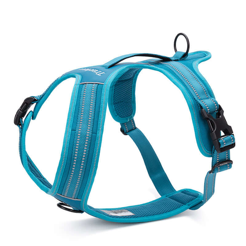 Harnais en nylon bleu pour animal, offrant confort et liberté de mouvement pour les chiens.