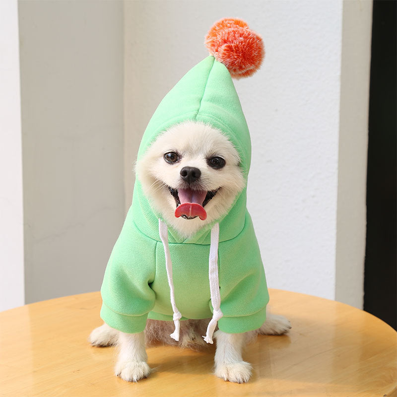 Chien souriant en manteau à capuche vert avec pompon, idéal pour l'automne et l'hiver.