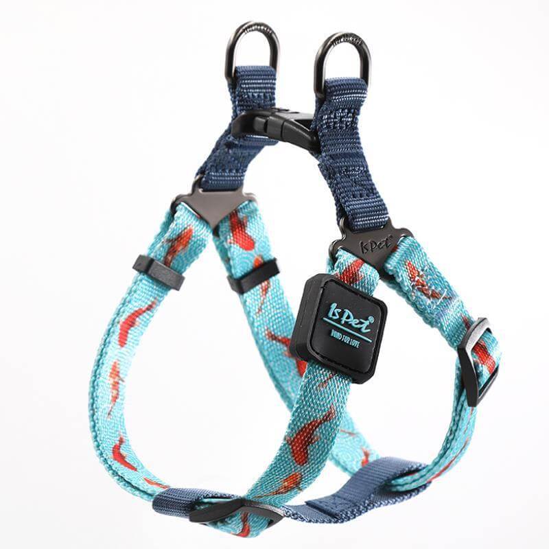 Harnais de poitrine pour chien avec boucle de verrouillage, conçu pour le confort et la sécurité des animaux de compagnie.