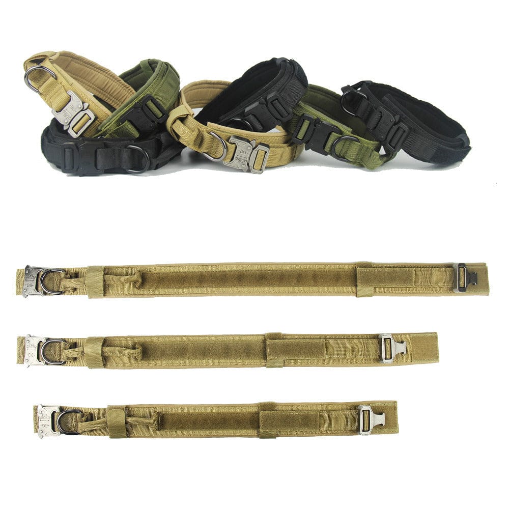 Collier de chien tactical en nylon résistant, disponible en plusieurs couleurs et tailles, idéal pour les aventures en plein air.