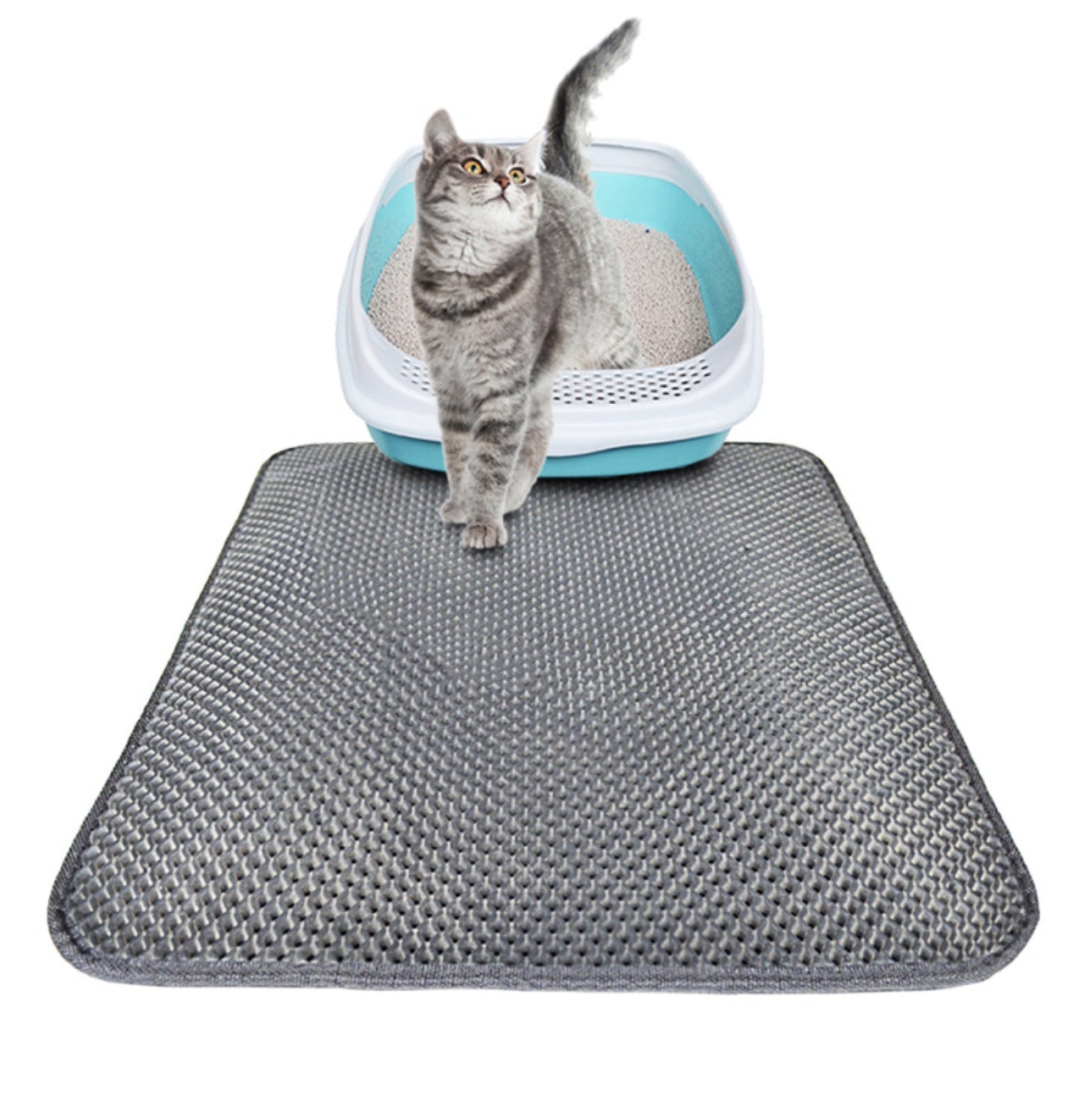 Tapis Litter Double Couche pour Chats - Mat Trapping