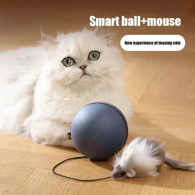 Balle Teaser Électrique pour Chats et Chiens