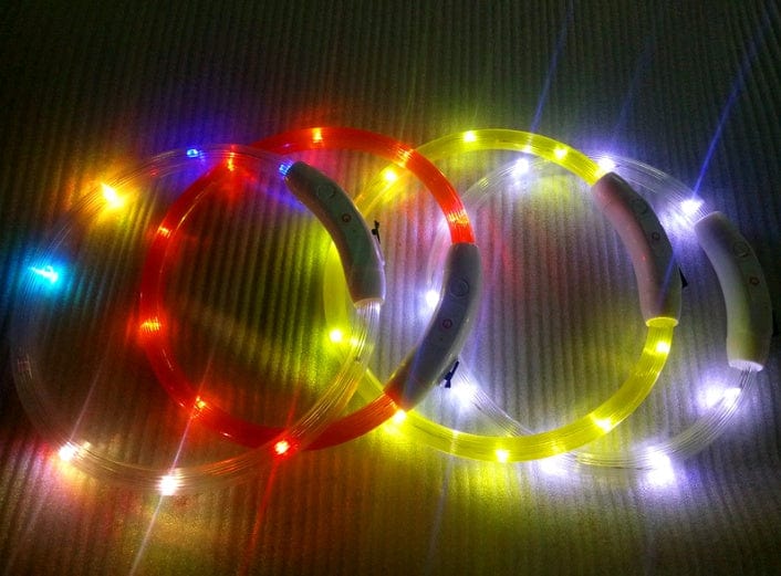 Colliers LED lumineux pour chiens en rouge, jaune et multicolore, parfaits pour la sécurité nocturne. Longueur personnalisable.