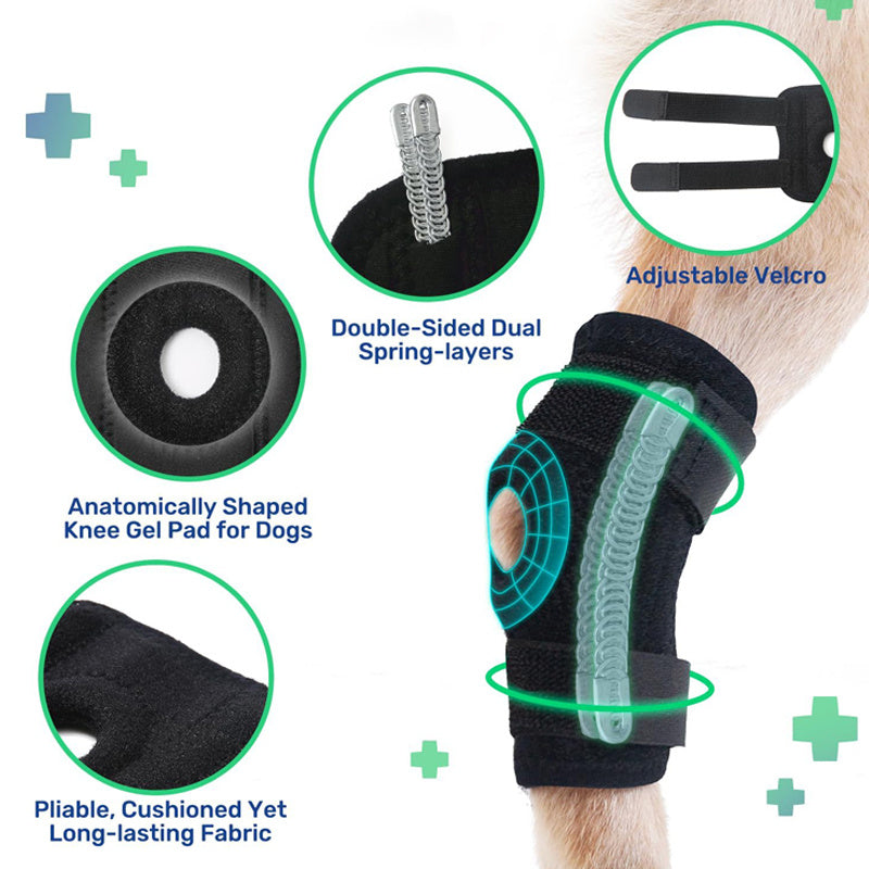 Genouillère pour chien avec support en gel, ajustable et en tissu respirant, idéale pour la réhabilitation.