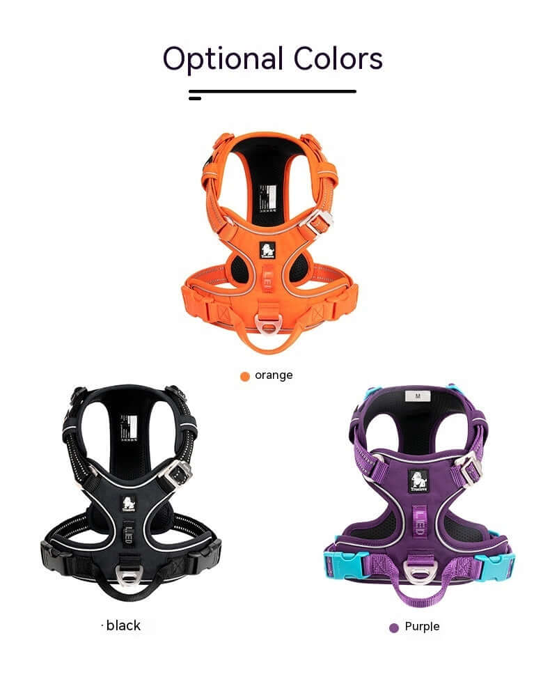 Harnais pour chien disponible en orange, noir et violet, conçu pour confort et sécurité.