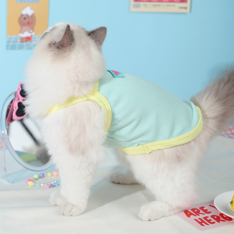 Chat portant un gilet Été Minou, léger et respirant, parfait pour l'été et la mode des animaux.