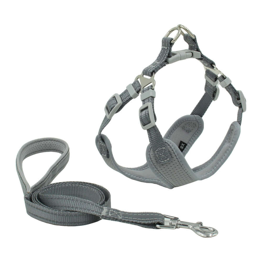 Harnais pour chien en maille respirante et réfléchissante avec laisse assortie, couleur gris.