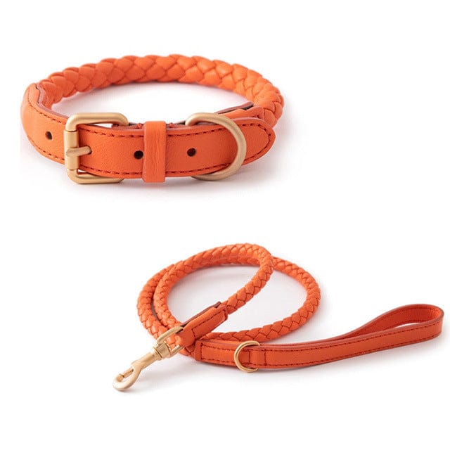 Collier en cuir robuste orange pour grands chiens avec laisse assortie, idéal pour style et sécurité.