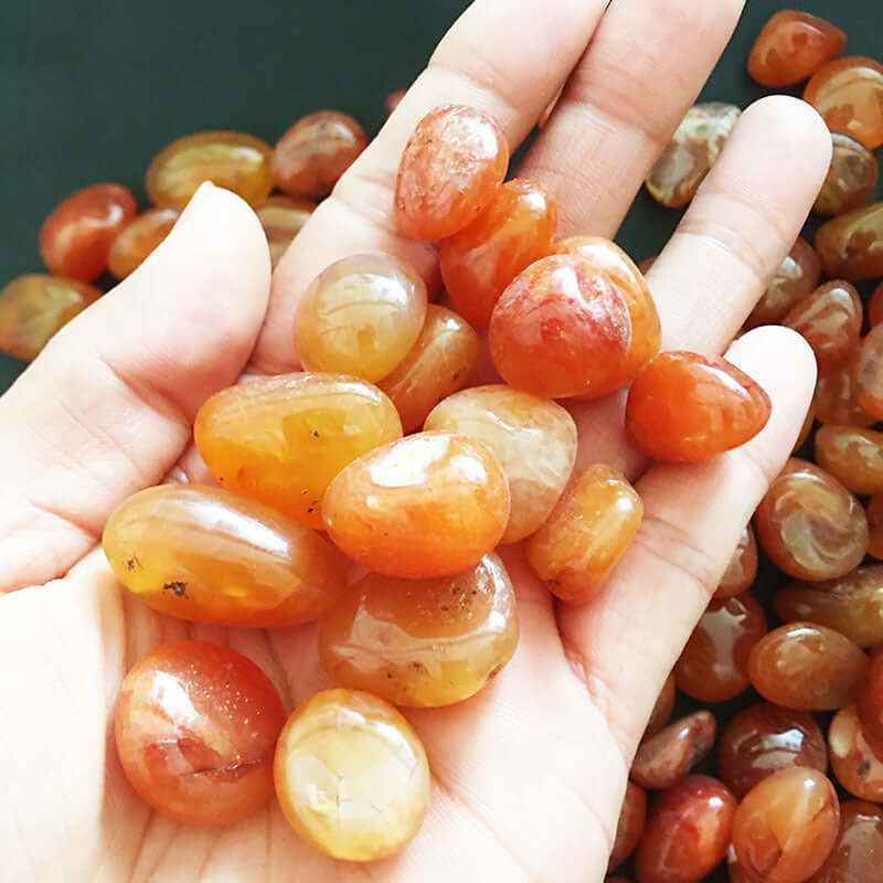 Mainteune main holding polished red carnelian crystals, showcasing their vibrant colors and natural beauty.