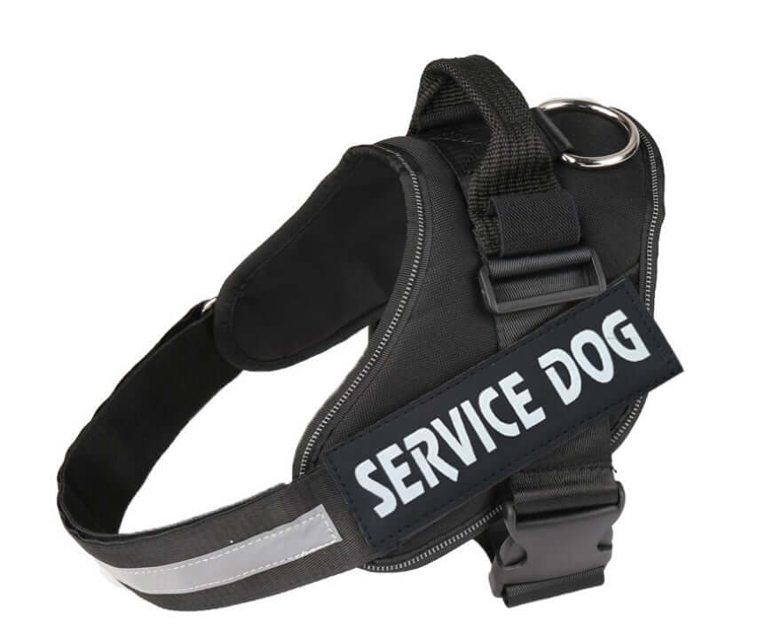 Harnais pour chien avec étiquette 'Service Dog', conçu pour le confort et la sécurité des animaux.