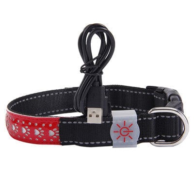 Collier LED pour chien rouge avec câble USB pour charge, sécurité et confort lors des promenades nocturnes.