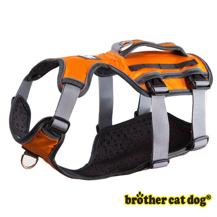 Harnais de sécurité pour chien en polyester orange, ajustable et durable, parfait pour les promenades.