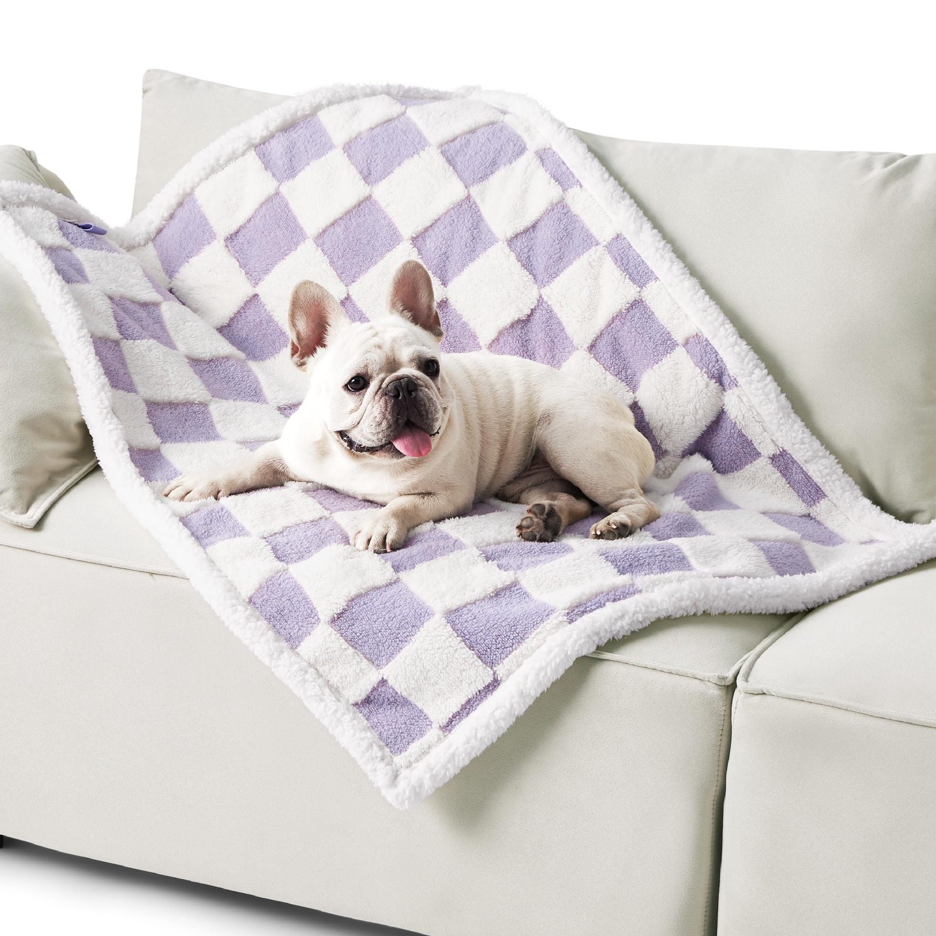 Couverture Impermeable pour Chiens en Coton Épais